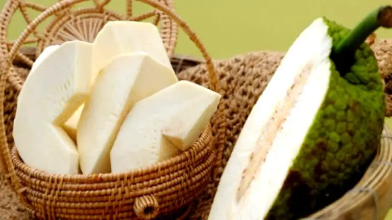 What to Do with Overripe Breadfruit? (7 Simple Delicious Uses)