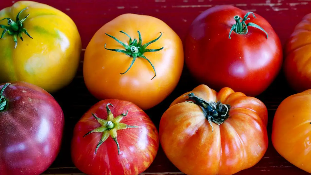 Heirloom Tomatoes