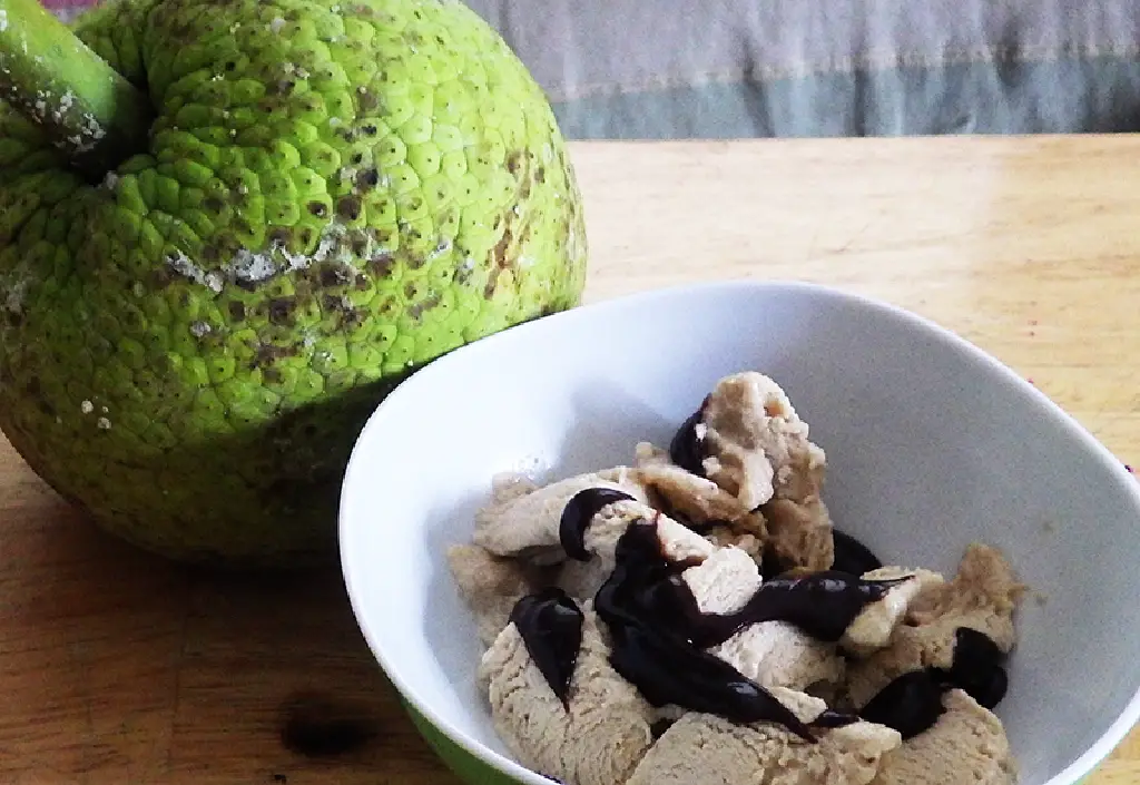 breadfruit ice cream