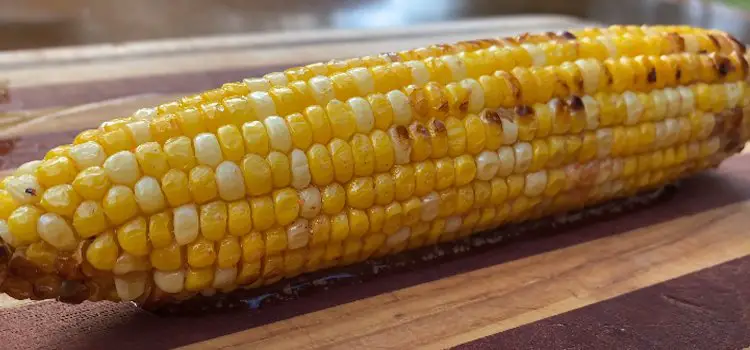 Corn On The Cob