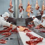 Butchers cutting beef in slaughterhouse, wearing hygienic masks