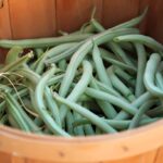 Bushel of Green Beans Cost?