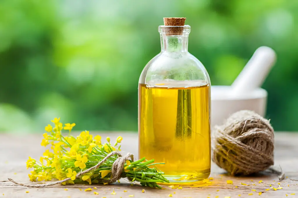 bottle of rapeseed oil and repe flowers