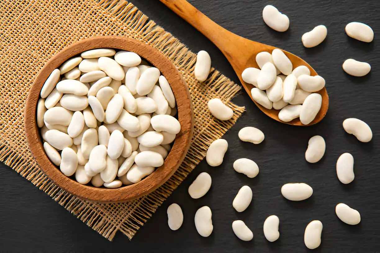 dried raw cannellini bean in a bowl