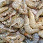 fresh shrimp at market