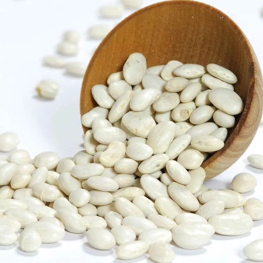 great northern bean