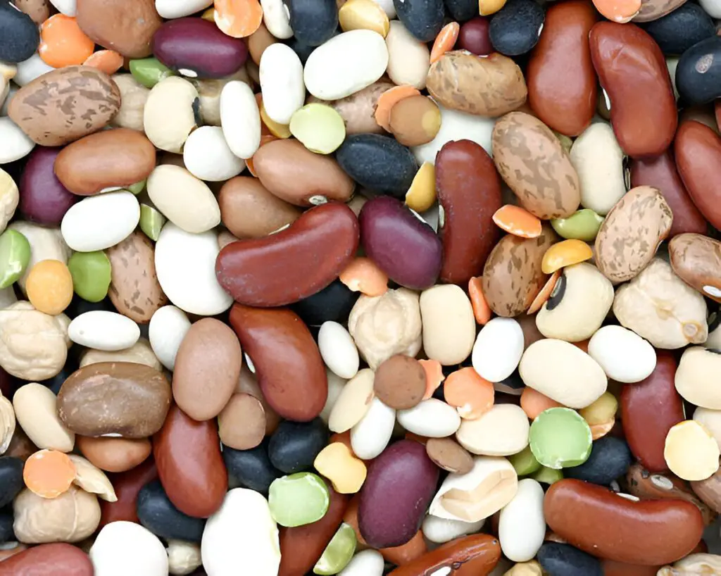 Butter Beans vs. Great Northern Beans: What’s the Difference