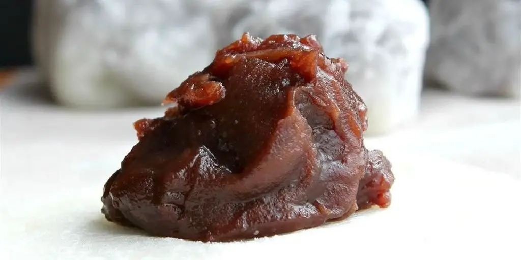 Anko (Sweet Red Bean Paste)
