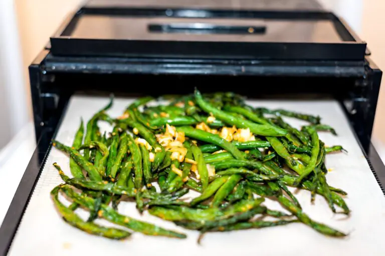 dehydrator black tray sheets with dehydrated vegetables green beans and garlic