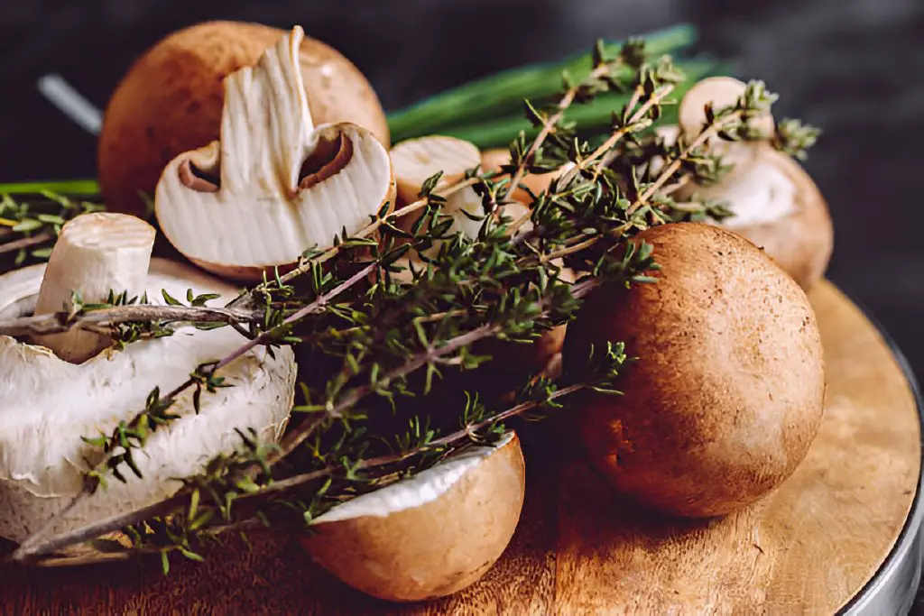 edible mushrooms and green spices
