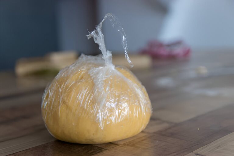 homemade pasta dough wrapped in plastic food wrap