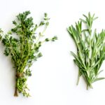 bunches of tied thyme and rosemary