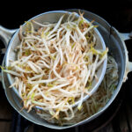 cooking boiled bean sprouts food preparation