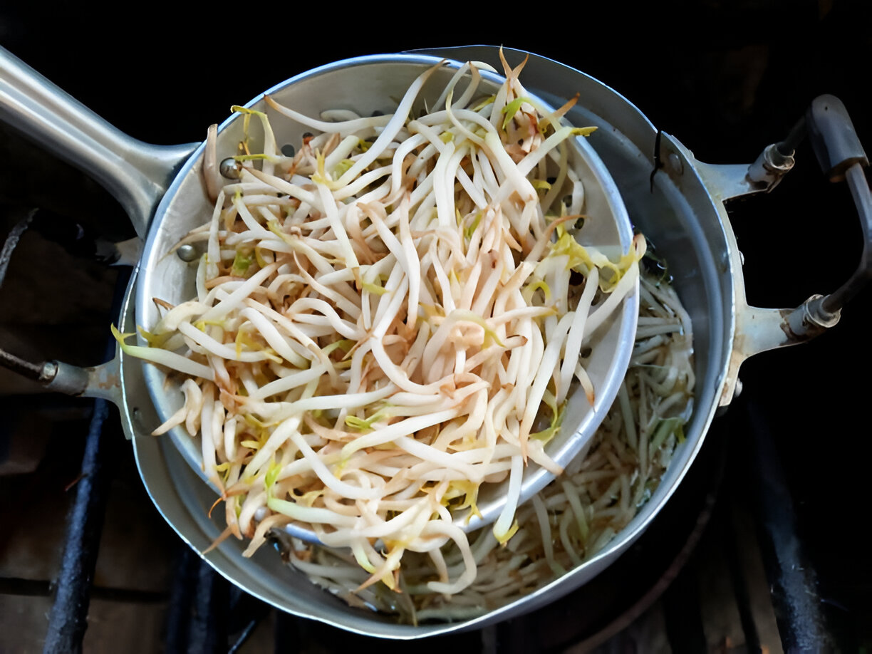 cooking boiled bean sprouts food preparation