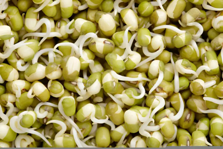 mung beans