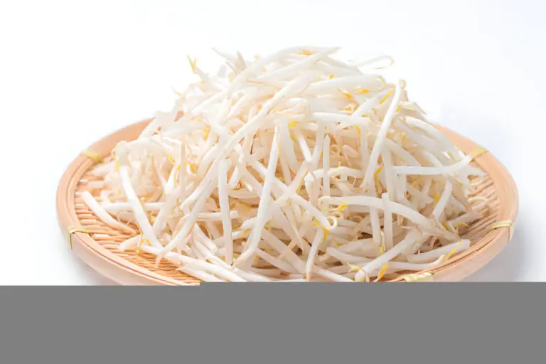 raw sprouts on plate