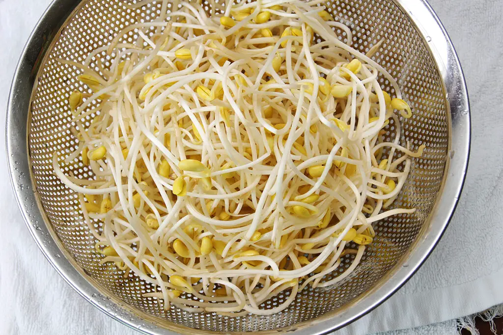 soybean sprout Kongnamul