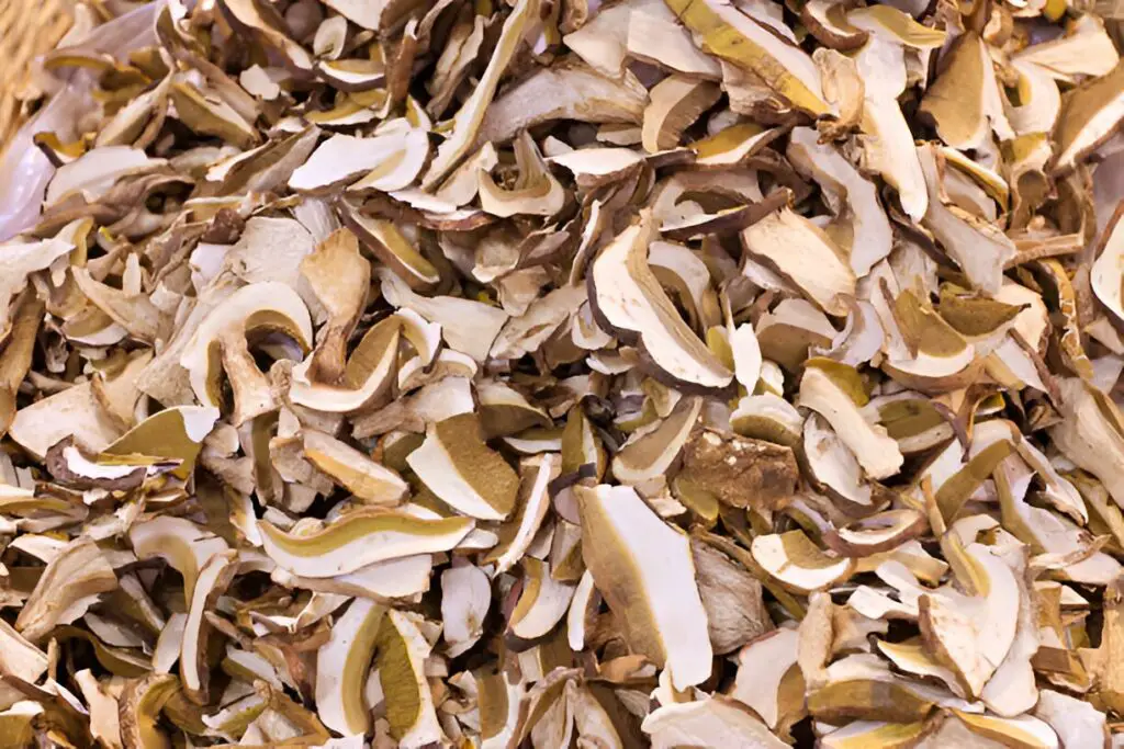 dried sliced porcini mushroom of italy