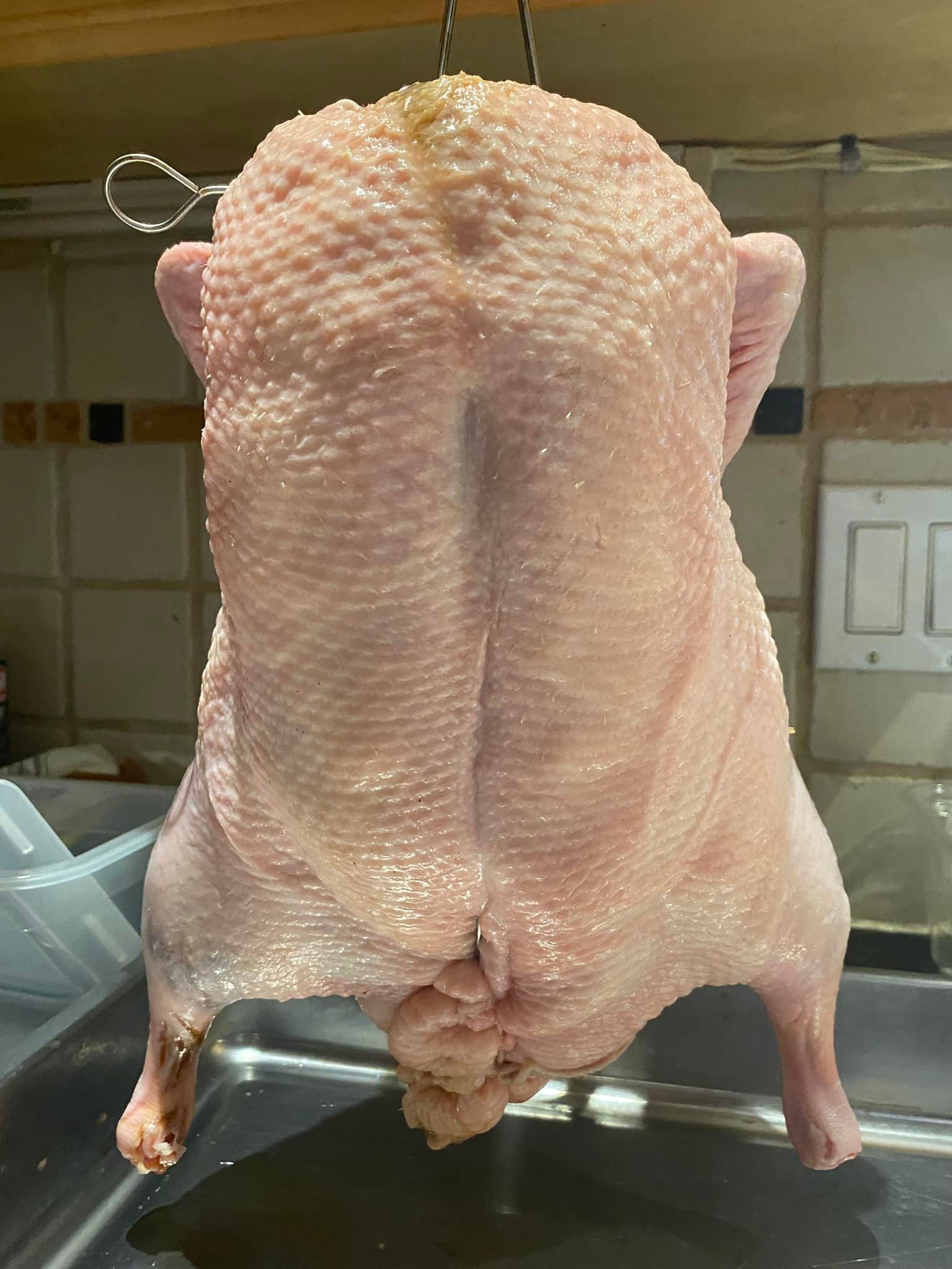 Air drying roast duck at home