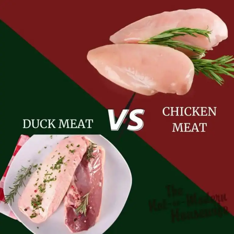 Ducks vs Chickens Meats Comparison